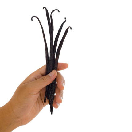 Vanilla Bean